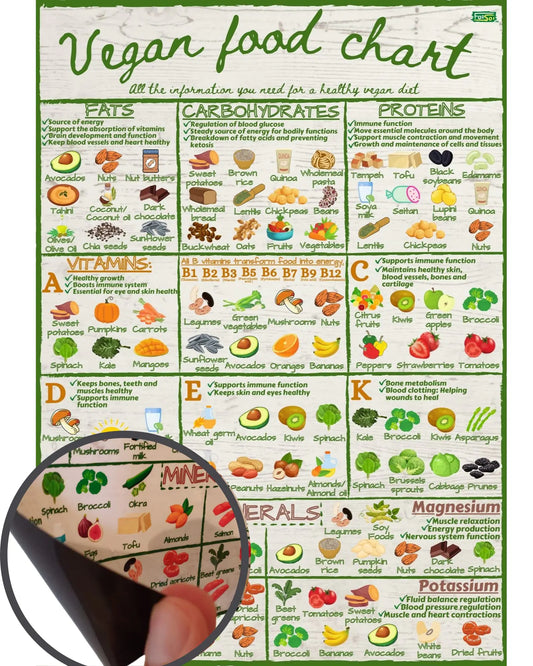 Vegan Healthy Food Chart Guide - Informative Nutrition Vitamins Minerals Magnetic Fridge Chart - Stylish Colourful Water Resistant Kitchen Guide Magnet