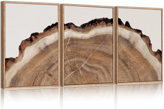 Framed Tree Rings Wood Wall Art Set Modern Beige Wood Stump Wall Decor Abstract Black and Gray Tree Spiral Wall PaintingNature-Inspired Art Print for Living Room Bedroom Dining Room Office-24"x36"x3